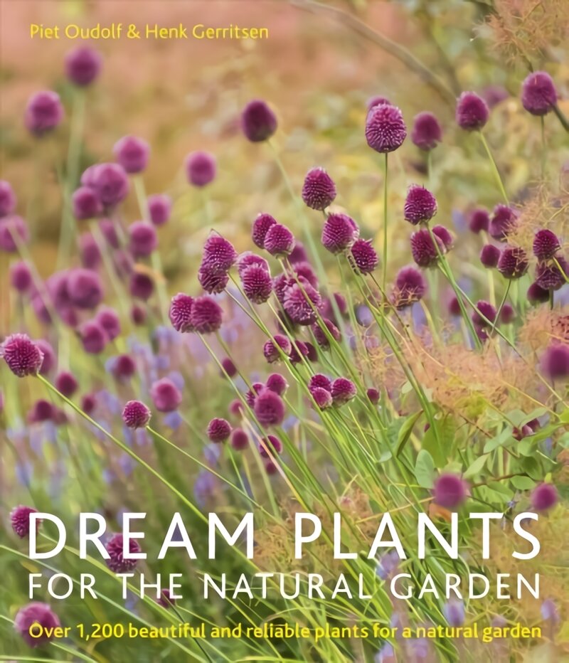 Dream Plants for the Natural Garden PB Reissue kaina ir informacija | Knygos apie sodininkystę | pigu.lt
