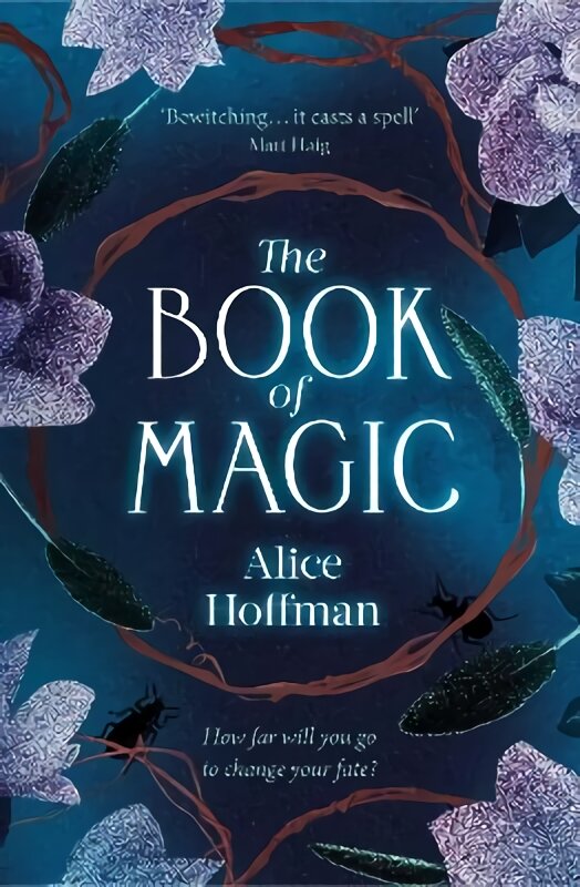 Book of Magic цена и информация | Fantastinės, mistinės knygos | pigu.lt