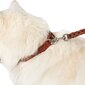 Hunter šuns antkaklis, 35-44 cm kaina ir informacija | Antkakliai, petnešos šunims | pigu.lt