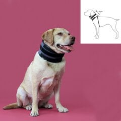 Широкий ошейник для собак KVP Чёрный (13-48 cm) цена и информация | Одежда для собак | pigu.lt
