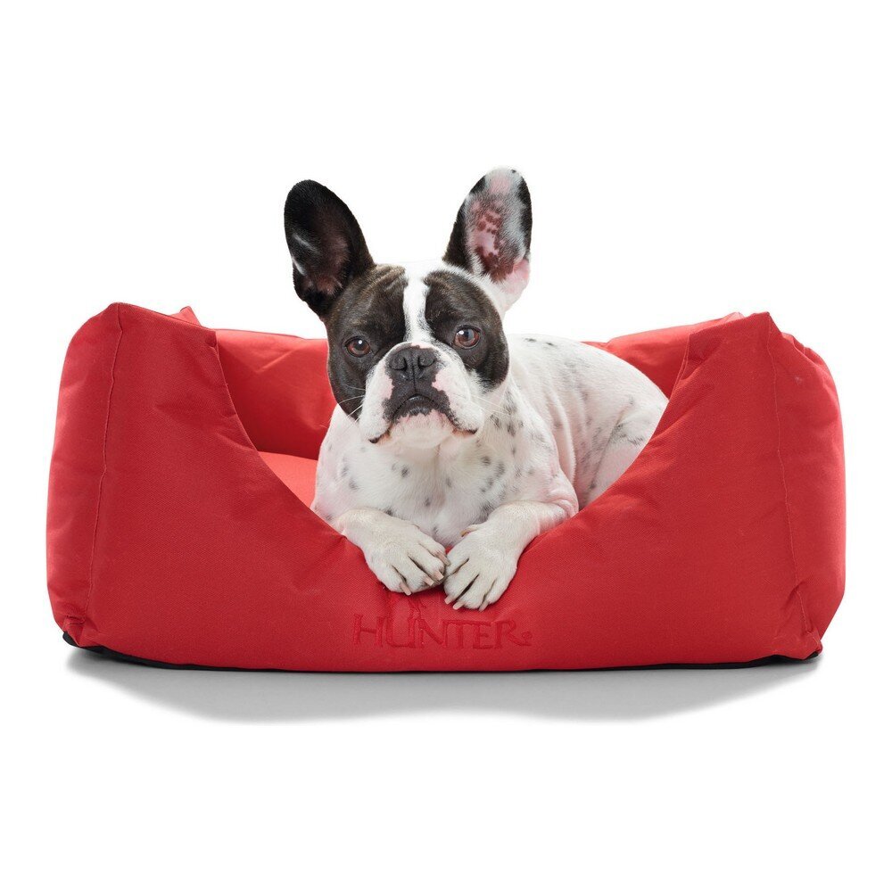 Hunter Gent guolis šunims, raudonas kaina ir informacija | Guoliai, pagalvėlės | pigu.lt