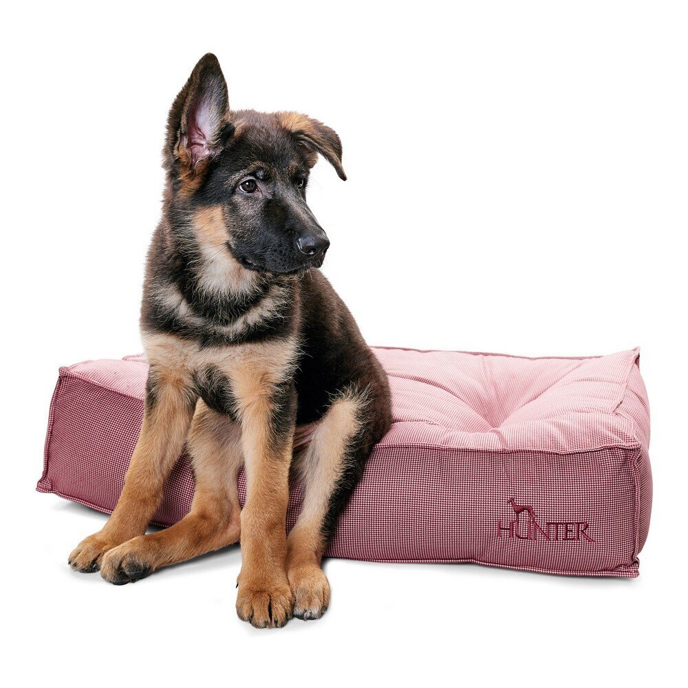 Guolis šunims Hunter Lancaster kaina ir informacija | Guoliai, pagalvėlės | pigu.lt