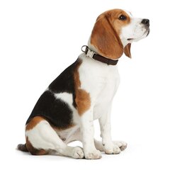 Hunter Basic Alu-Strong šuns antkaklis, raudonas, 45-65 cm kaina ir informacija | Antkakliai, petnešos šunims | pigu.lt