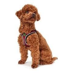 Hunter Hilo-Comfort petnešos šunims, raudonos, 58-63 cm kaina ir informacija | Antkakliai, petnešos šunims | pigu.lt