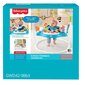 Šokliukas Fisher Price Color Climbers kaina ir informacija | Vaikštynės | pigu.lt