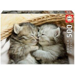 Dėlionė Kitten 500 d. kaina ir informacija | Dėlionės (puzzle) | pigu.lt