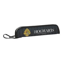 Penalinė Hogwarts Harry Potter kaina ir informacija | Penalai | pigu.lt