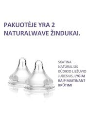 Lėto pratekėjimo žindukas, Slow flow, 2vnt. NaturalWave®, Lansinoh 75900 цена и информация | Бутылочки и аксессуары | pigu.lt