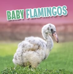 Baby Flamingos kaina ir informacija | Knygos paaugliams ir jaunimui | pigu.lt