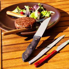 Нож для мяса Amefa Pizza Bois, деревянный (21 см) (12 шт.) цена и информация | Столовые приборы | pigu.lt