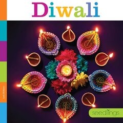 Diwali цена и информация | Книги для подростков  | pigu.lt