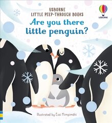 Are you there little penguin? цена и информация | Книги для подростков и молодежи | pigu.lt