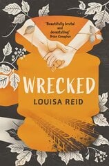 Wrecked цена и информация | Книги для подростков  | pigu.lt