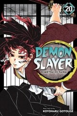 Demon Slayer: Kimetsu no Yaiba, Vol. 20 цена и информация | Фантастика, фэнтези | pigu.lt