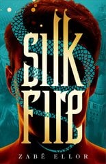 Silk Fire kaina ir informacija | Fantastinės, mistinės knygos | pigu.lt