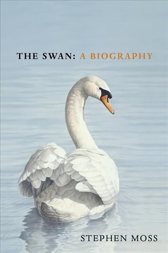 Swan: A Biography - The must-have gift for bird lovers this Christmas kaina ir informacija | Ekonomikos knygos | pigu.lt