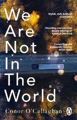 We Are Not in the World: 'compelling and profoundly moving' Irish Times цена и информация | Фантастика, фэнтези | pigu.lt