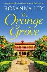 Orange Grove: an utterly mouth-watering holiday romance set in sunny Seville цена и информация | Fantastinės, mistinės knygos | pigu.lt