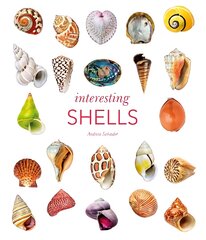 Interesting Shells цена и информация | Книги о питании и здоровом образе жизни | pigu.lt