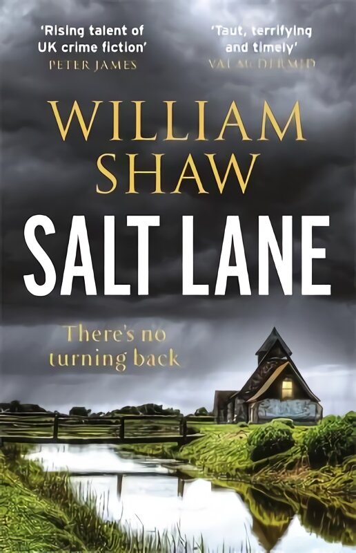 Salt Lane: the superb first book in the DS Alexandra Cupidi Investigations цена и информация | Fantastinės, mistinės knygos | pigu.lt