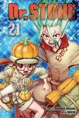 Dr. STONE, Vol. 21 kaina ir informacija | Fantastinės, mistinės knygos | pigu.lt