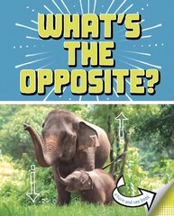 What's the Opposite?: A Turn-and-See Book цена и информация | Книги для самых маленьких | pigu.lt