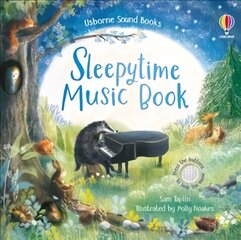 Sleepytime Music Book цена и информация | Книги для малышей | pigu.lt