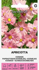 Kosmėjos paprastosios apricotta цена и информация | Семена цветов | pigu.lt