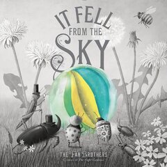 It Fell From The Sky цена и информация | Книги для малышей | pigu.lt