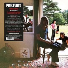 Vinilinė plokštelė 2LP PINK FLOYD Ummagumma kaina ir informacija | Vinilinės plokštelės, CD, DVD | pigu.lt