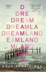 Dreamland: An Evening Standard 'Best New Book' of 2021 цена и информация | Фантастика, фэнтези | pigu.lt