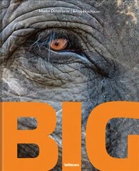 Big: A Photographic Album of the World's Largest Animals цена и информация | Книги по фотографии | pigu.lt