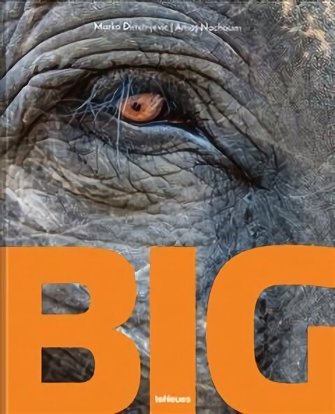 Big: A Photographic Album of the World's Largest Animals kaina ir informacija | Fotografijos knygos | pigu.lt