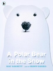 Polar Bear in the Snow цена и информация | Книги для самых маленьких | pigu.lt