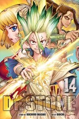 Dr. STONE, Vol. 14 kaina ir informacija | Fantastinės, mistinės knygos | pigu.lt