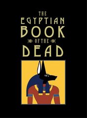 Egyptian Book of the Dead kaina ir informacija | Dvasinės knygos | pigu.lt