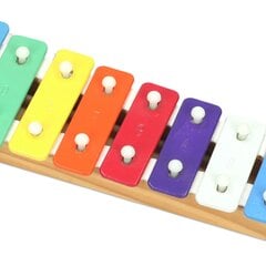 Ксилофон Reig Цветной дерево цена и информация | Игрушки для малышей | pigu.lt