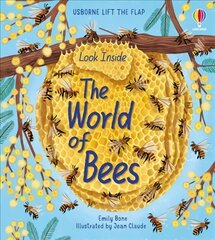 Look Inside the World of Bees UK 2021 kaina ir informacija | Knygos mažiesiems | pigu.lt