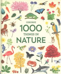 1000 Things in Nature kaina ir informacija | Knygos paaugliams ir jaunimui | pigu.lt