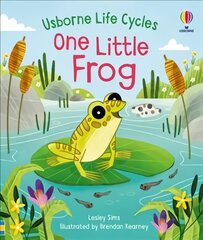 One Little Frog kaina ir informacija | Knygos mažiesiems | pigu.lt