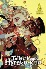 Toilet-bound Hanako-kun, Vol. 12 цена и информация | Fantastinės, mistinės knygos | pigu.lt