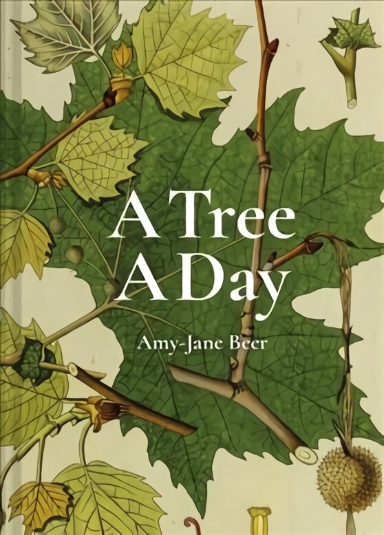 Tree A Day kaina ir informacija | Knygos apie sveiką gyvenseną ir mitybą | pigu.lt