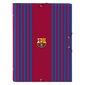 Papkė su skyriais F.C. Barcelona A4 kaina ir informacija | Kanceliarinės prekės | pigu.lt