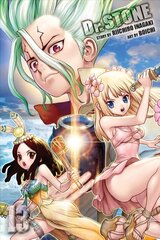 Dr. STONE, Vol. 13 kaina ir informacija | Fantastinės, mistinės knygos | pigu.lt