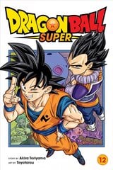 Dragon Ball Super, Vol. 12 kaina ir informacija | Fantastinės, mistinės knygos | pigu.lt