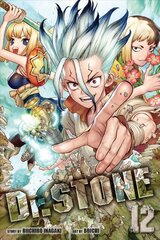 Dr. STONE, Vol. 12 kaina ir informacija | Fantastinės, mistinės knygos | pigu.lt