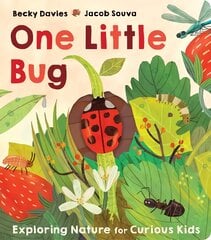 One Little Bug цена и информация | Книги для самых маленьких | pigu.lt