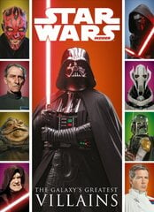 Star Wars: The Galaxy's Greatest Villains цена и информация | Книги об искусстве | pigu.lt
