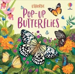 Pop-Up Butterflies kaina ir informacija | Knygos mažiesiems | pigu.lt