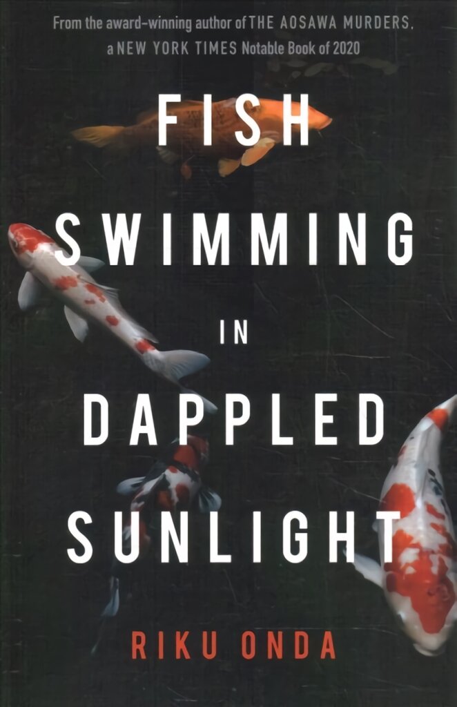 Fish Swimming in Dappled Sunlight kaina ir informacija | Fantastinės, mistinės knygos | pigu.lt